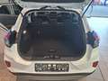 Ford Puma 1.0 EcoBoost LED PDC Klima SHZ Spurh. Weiß - thumbnail 10