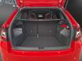 Skoda Fabia C. 1.0 TSI Monte Carlo PDC+LED+PANORAMA Klima Rot - thumbnail 21