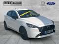 Mazda 2 Homura / 90PS / RFK / DAB / LED / Winterpaket Weiß - thumbnail 1