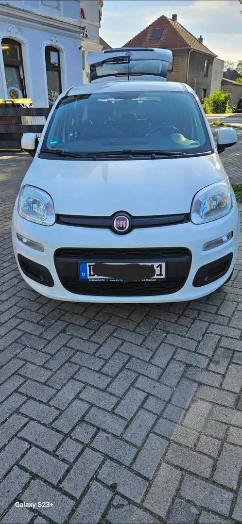 Fiat Panda Panda 1.2 City Cross - 1