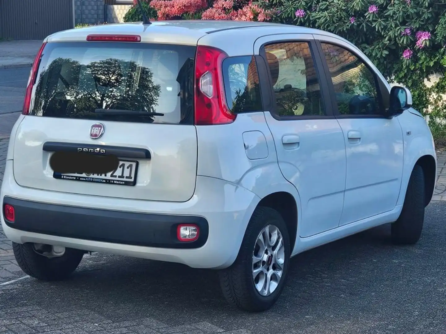 Fiat Panda Panda 1.2 City Cross - 2