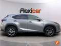 Lexus NX 300 300h Executive Navigation 4WD Beige - thumbnail 5