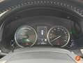 Lexus NX 300 300h Executive Navigation 4WD Beige - thumbnail 10