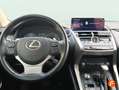 Lexus NX 300 300h Executive Navigation 4WD Beige - thumbnail 7