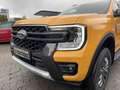 Ford Ranger Wildtrak DoKa 3.0l EcoBlue177kW+Elektr..Rollo Oranje - thumbnail 14