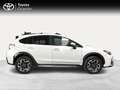 Subaru XV 2.0i Executive Plus Auto Blanco - thumbnail 17