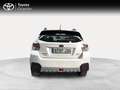 Subaru XV 2.0i Executive Plus Auto Blanco - thumbnail 4