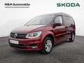 Volkswagen Caddy Maxi 2.0 TDI Highline BMT AHK NAVI XENO Rouge - thumbnail 1