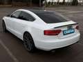 Audi A5 Sportback 3.0TDI quattro Blanco - thumbnail 7