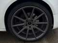Audi A5 Sportback 3.0TDI quattro Blanco - thumbnail 23