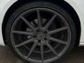 Audi A5 Sportback 3.0TDI quattro Blanco - thumbnail 24