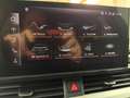 Audi A4 Avant 40 TDI quattro S line STHZ ACC LED Virt Gris - thumbnail 27
