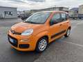 Fiat Panda Panda III 2016 1.0 hybrid City Cross s Orange - thumbnail 1
