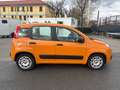 Fiat Panda Panda III 2016 1.0 hybrid City Cross s Orange - thumbnail 6