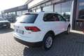 Volkswagen Tiguan 2.0 TDI DSG 4MOTION Business BMT Blanco - thumbnail 7