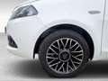 Lancia Ypsilon My24 1.0 Firefly 70 CvStart&Stop Hybrid Oro Bianco - thumbnail 15