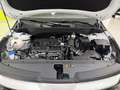 Kia Sportage 1.6 T-GDi MHEV Drive 160 Blanco - thumbnail 31