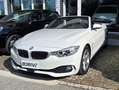 BMW 425 425d Cabrio SPORT auto Weiß - thumbnail 4