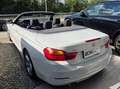 BMW 425 425d Cabrio SPORT auto Weiß - thumbnail 10