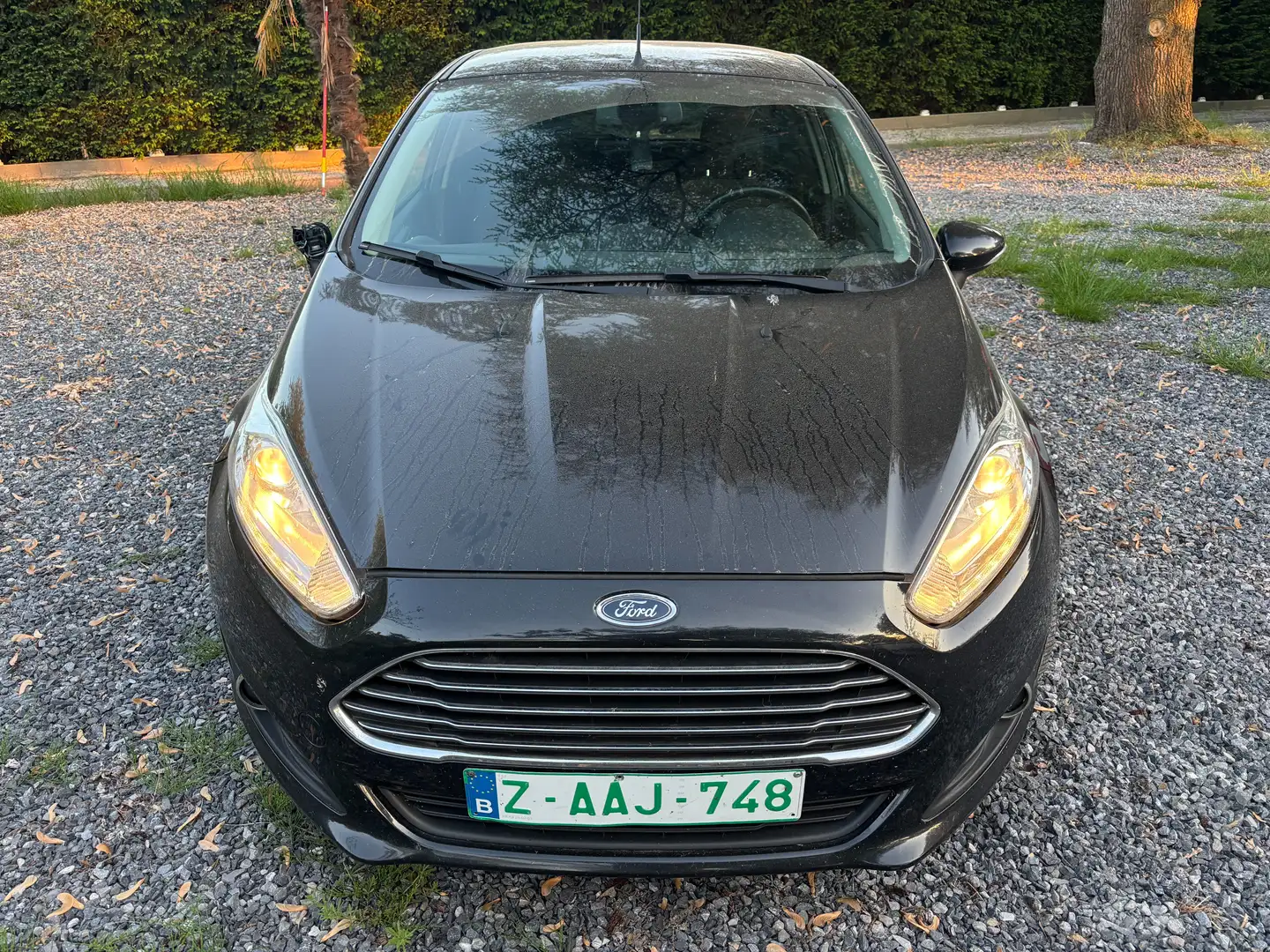 Ford Fiesta 1.6 TDCi mécanique ok ! Schwarz - 1