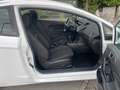 Ford Fiesta Trend Alb - thumbnail 13