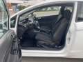 Ford Fiesta Trend Alb - thumbnail 14