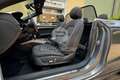 Audi A5 A5 Cabrio 2.0 TDI 177 CV multitronic Business Plus Argento - thumbnail 14