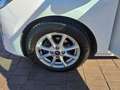 Ford Fiesta 1.5TDCi Active+ 85 Blanco - thumbnail 23