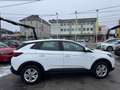 Opel Grandland X Business Edition Weiß - thumbnail 4