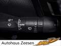 Citroen C4 NAVI HUD STANDHZ ACC KAMERA 360° Grau - thumbnail 15