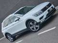 Volkswagen Tiguan 2.0 TDi - DSG7 - Pano - Full - Garantie *** Blanco - thumbnail 3