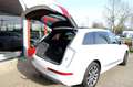 Audi Q7 e-tron 3.0 TDI Quattro Sport S-Line Aut.|Leder|Pano|LMV 2 Blanco - thumbnail 12