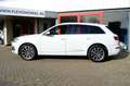Audi Q7 e-tron 3.0 TDI Quattro Sport S-Line Aut.|Leder|Pano|LMV 2 Blanco - thumbnail 37