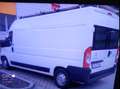 Citroen Jumper Zugelassen Lkw benutzt wohnmobil Zulassung Weiß - thumbnail 26