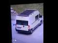 Citroen Jumper Zugelassen Lkw benutzt wohnmobil Zulassung Weiß - thumbnail 1