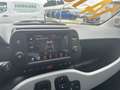 Fiat Panda Panda 1.0 FireFly S&S Hybrid City Cross Bleu - thumbnail 16