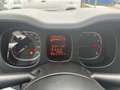 Fiat Panda Panda 1.0 FireFly S&S Hybrid City Cross Bleu - thumbnail 20