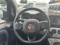 Fiat Panda Panda 1.0 FireFly S&S Hybrid City Cross Bleu - thumbnail 17
