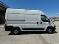 Fiat Ducato Ducato 35 2.2 Mjt 140CV PM-TM Furgone Bianco - thumbnail 3