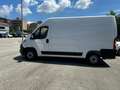Fiat Ducato Ducato 35 2.2 Mjt 140CV PM-TM Furgone Bianco - thumbnail 4