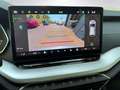 Skoda Octavia Kombi 1,5 TSI mHEV Selection DSG Silber - thumbnail 13
