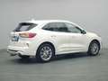 Ford Kuga Vignale PHEV 225PS Aut./Techno-Paket/AHK Weiß - thumbnail 21