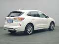 Ford Kuga Vignale PHEV 225PS Aut./Techno-Paket/AHK Weiß - thumbnail 4