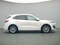 Ford Kuga Vignale PHEV 225PS Aut./Techno-Paket/AHK Weiß - thumbnail 8