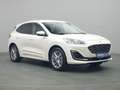Ford Kuga Vignale PHEV 225PS Aut./Techno-Paket/AHK Weiß - thumbnail 5