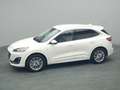 Ford Kuga Vignale PHEV 225PS Aut./Techno-Paket/AHK Weiß - thumbnail 40
