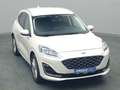 Ford Kuga Vignale 225PS PHEV Aut./Techno-Paket/AHK Weiß - thumbnail 37