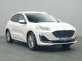 Ford Kuga Vignale 225PS PHEV Aut./Techno-Paket/AHK Weiß - thumbnail 24