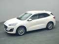 Ford Kuga Vignale PHEV 225PS Aut./Techno-Paket/AHK Weiß - thumbnail 28