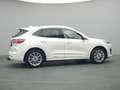 Ford Kuga Vignale PHEV 225PS Aut./Techno-Paket/AHK Weiß - thumbnail 45